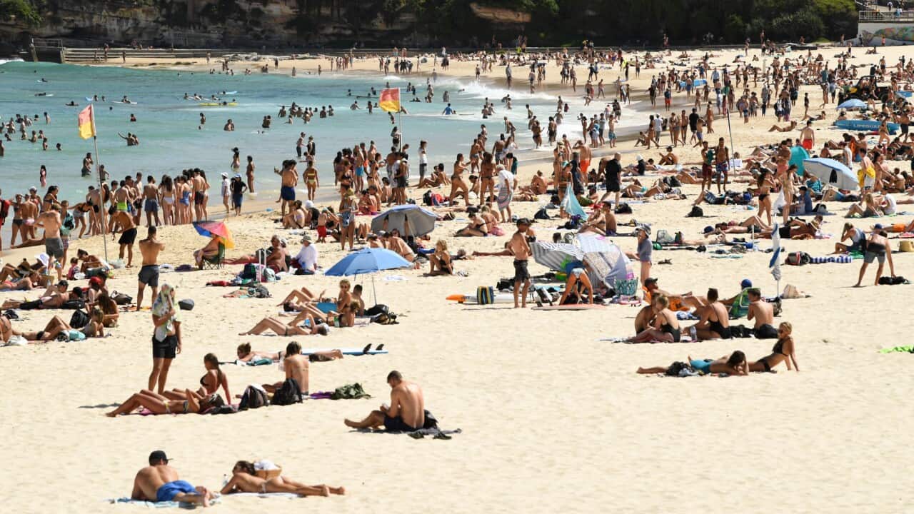 Beachgoers cool off in the water at Bondi Beach in Sydney, Tuesday, February 12, 2019. (AAP Image/ Joel Carrett) NO ARCHIVING