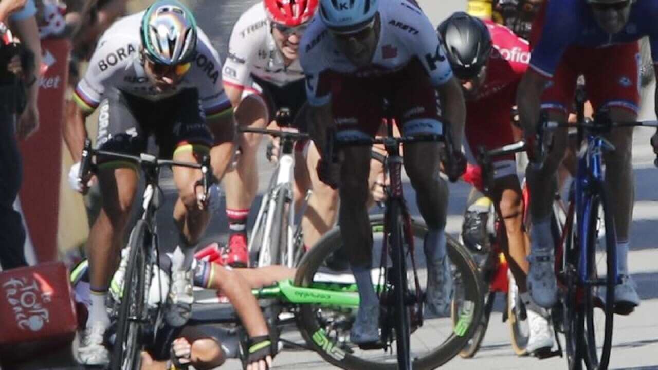 Peter Sagan, BORA-hansgrohe, Tour de France, crash
