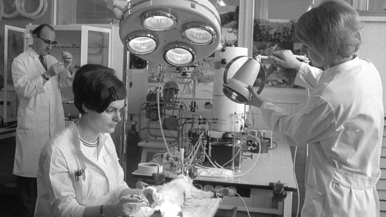 A view of a laboratory of the pharmaceutical company Chemie Gruenenthal