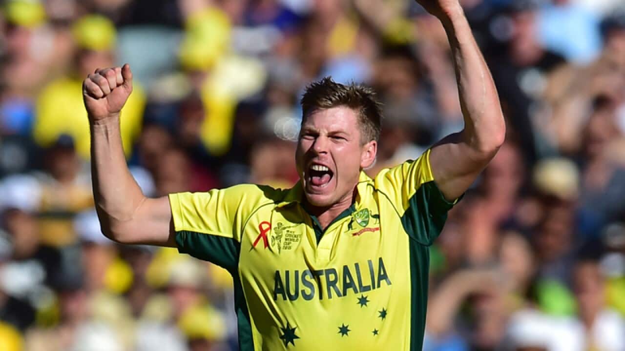 Australian allrounder James Faulkner