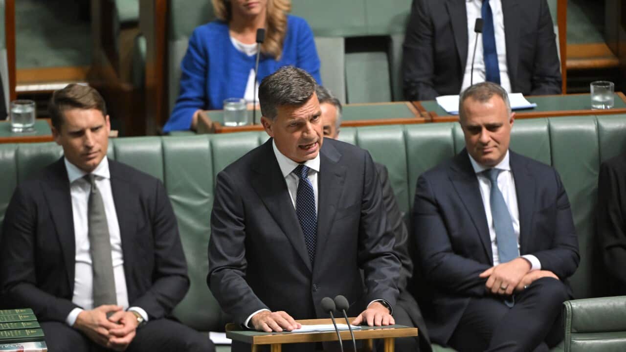 ANGUS TAYLOR BUDGET REPLY