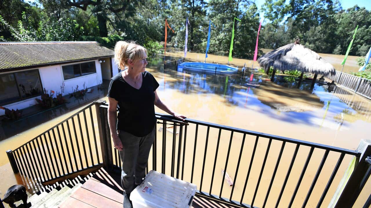 Lisa Williams looks out over her flooded backyard in Windsor, north west of Sydney (AAP)
