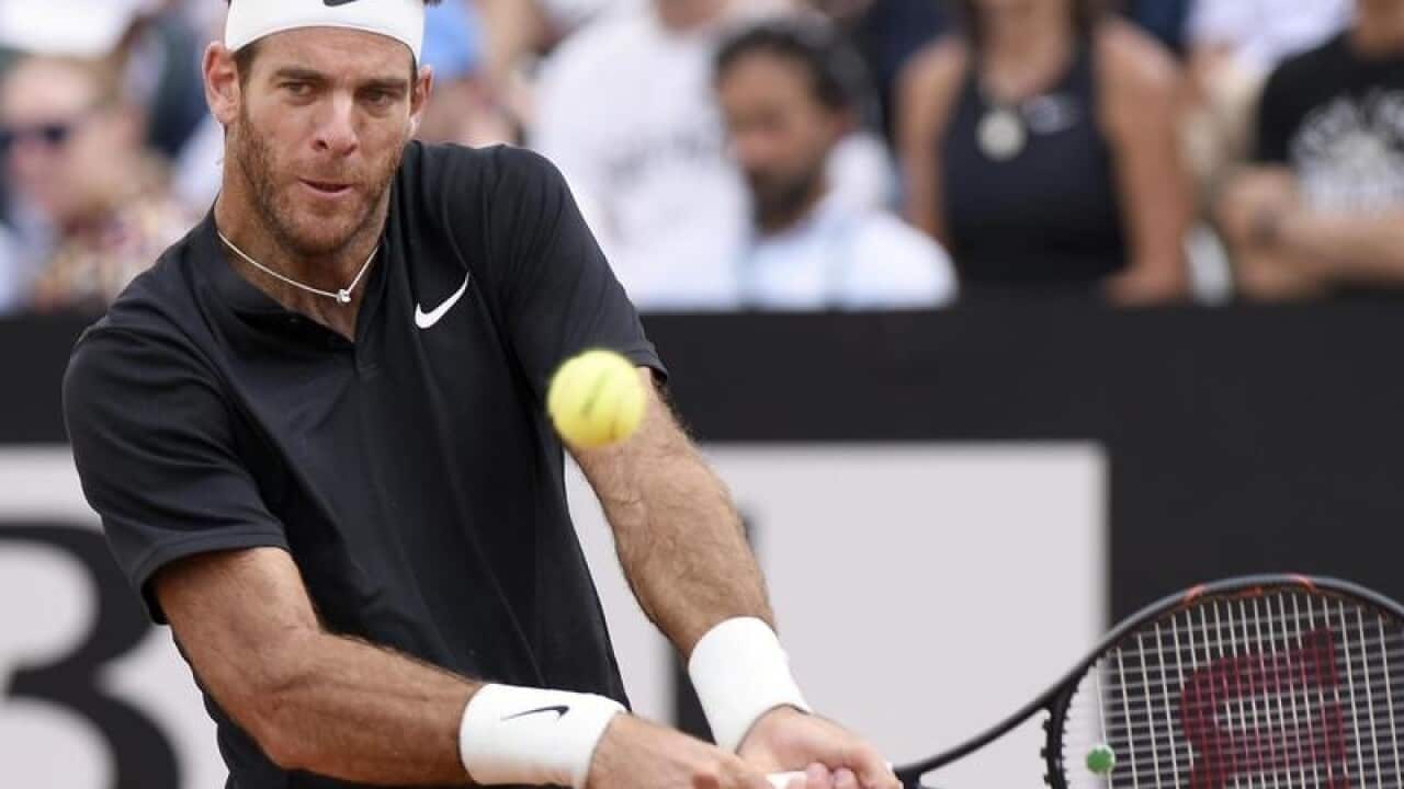 Juan Martin Del Potro