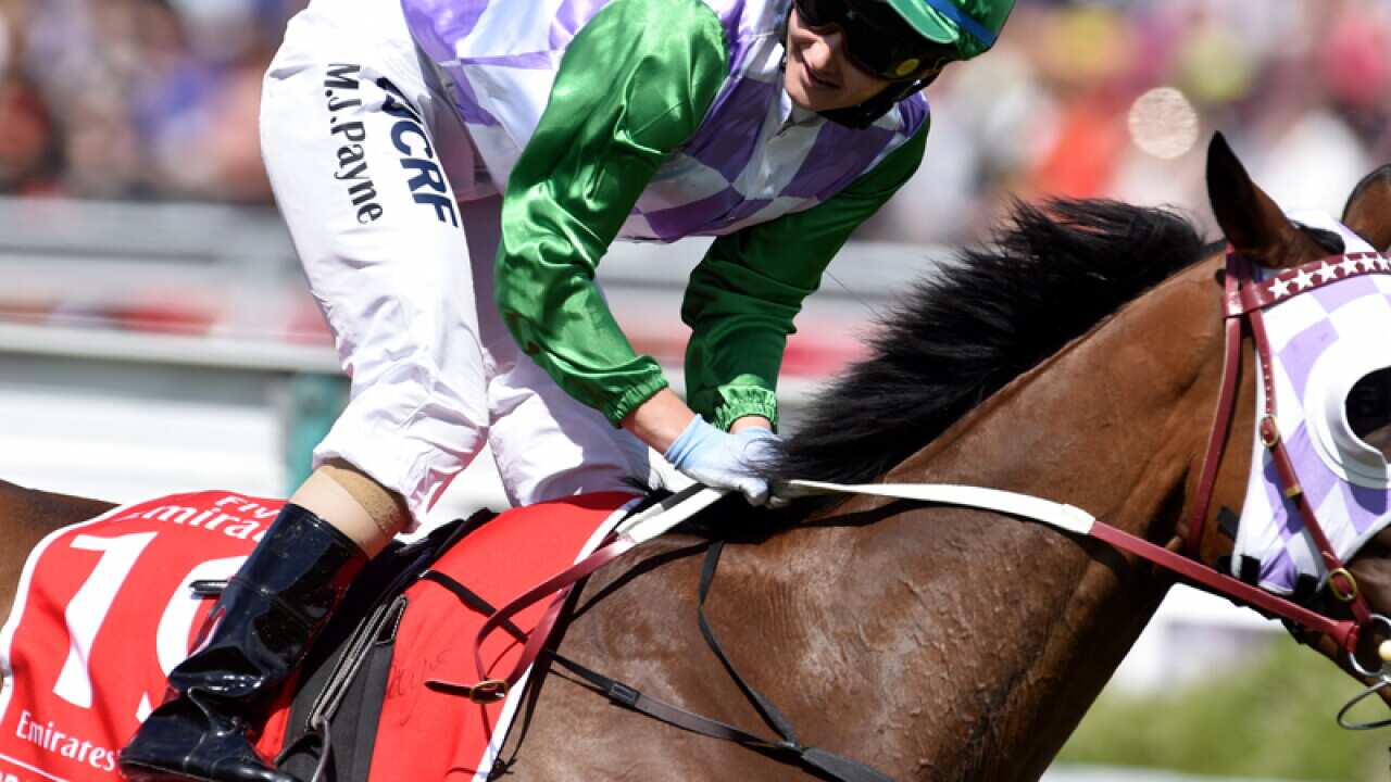 Prince of Penzance ridden by Michelle Payne.