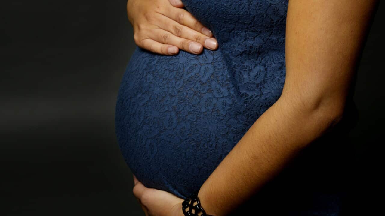 Pregnancy stock in Sydney