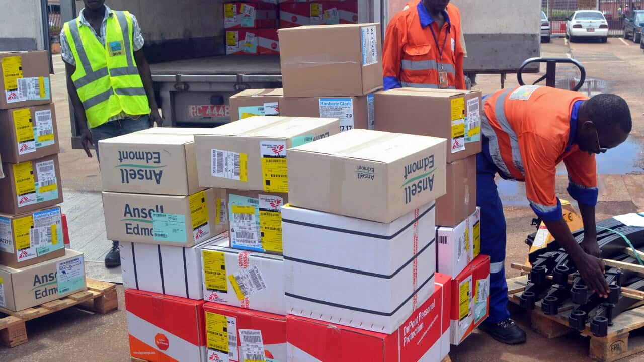 A member of Doctors Without Borders (MSF) wearing a white jersey (C) supervises the unloading of protection and healthcare material