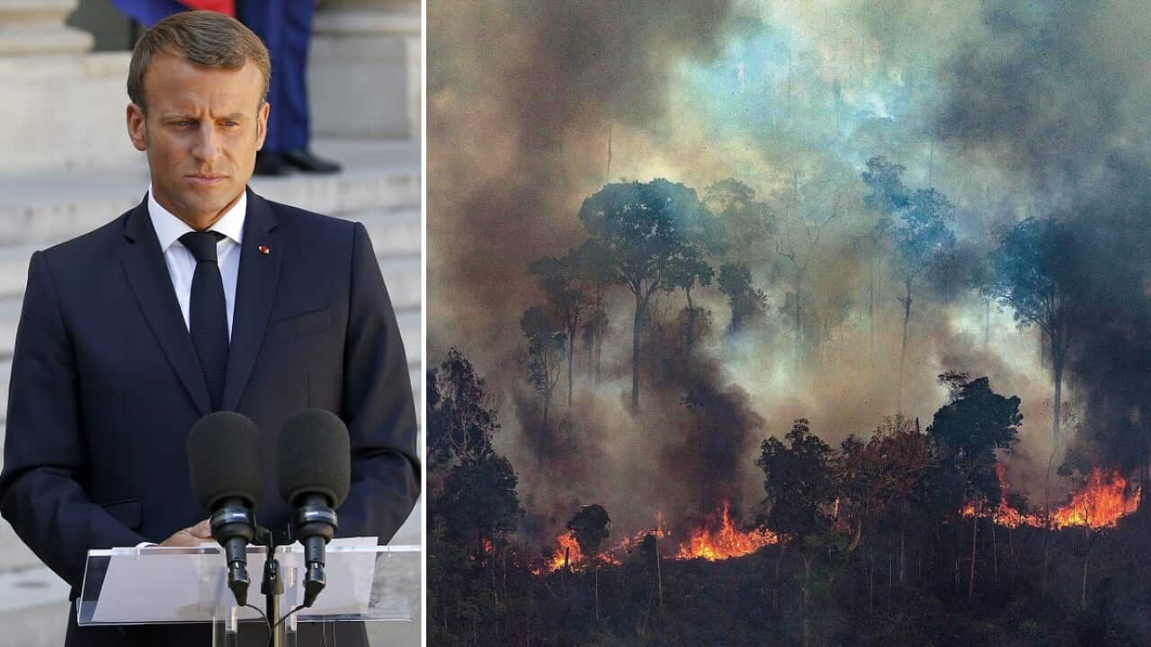 Emmanuel Macron and a fire in Brazil.