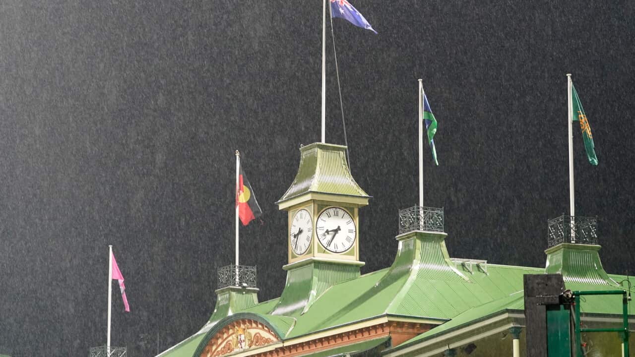 A scene cricket fans hope won't happen this weekend - rain at the SCG