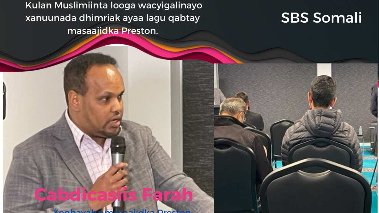 Wacyigalinta xanuunka dhimirka