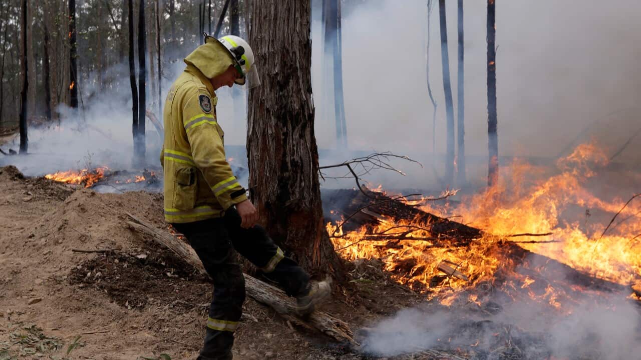 A firefighter kicks at a log while helping to build a containment line at a fire near Bodalla, NSW