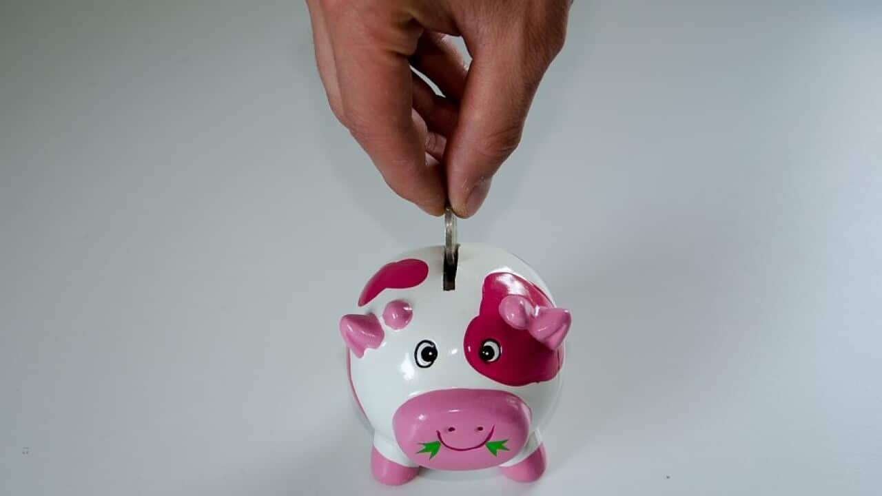 piggy bank