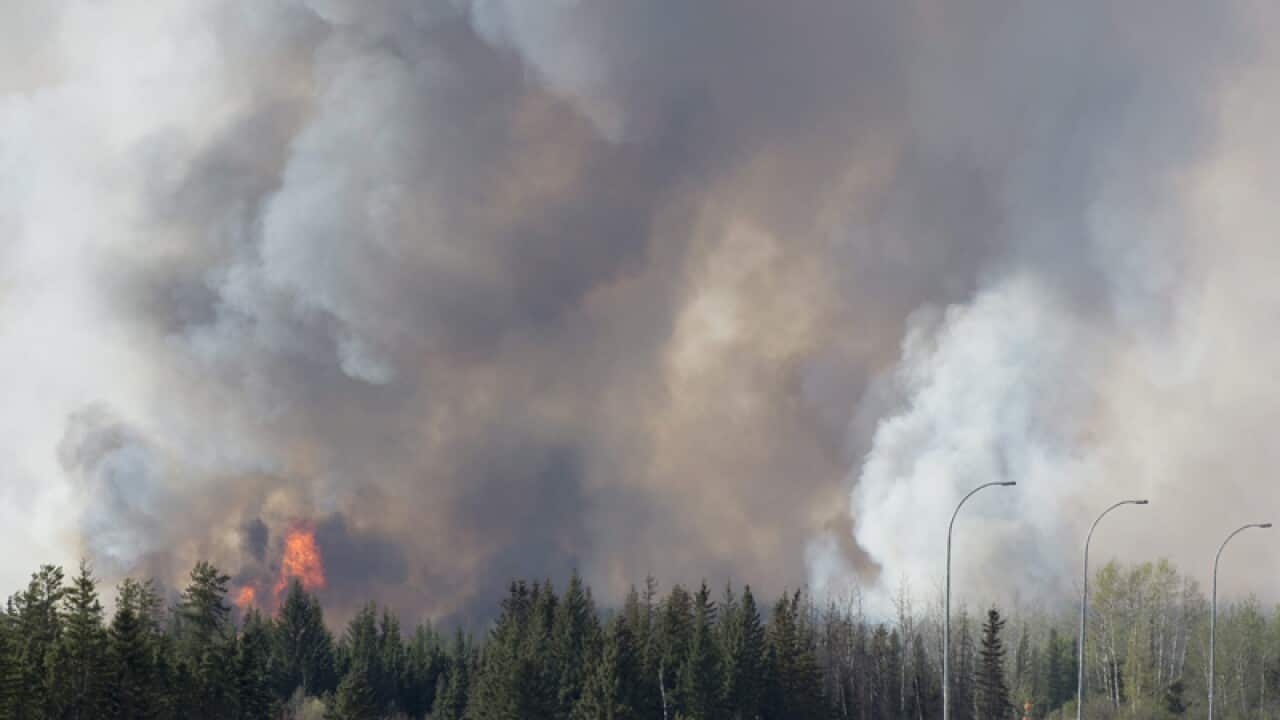 Evacuees from Fort McMurray drive past a wildfire as part of a convoy