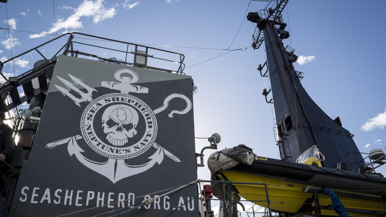 Sea Shepard's anti-whaling ship Sam Simon in Sydney on June 13, 2014. (AAP Image/NEWZULU/HUGH PETERSWALD)