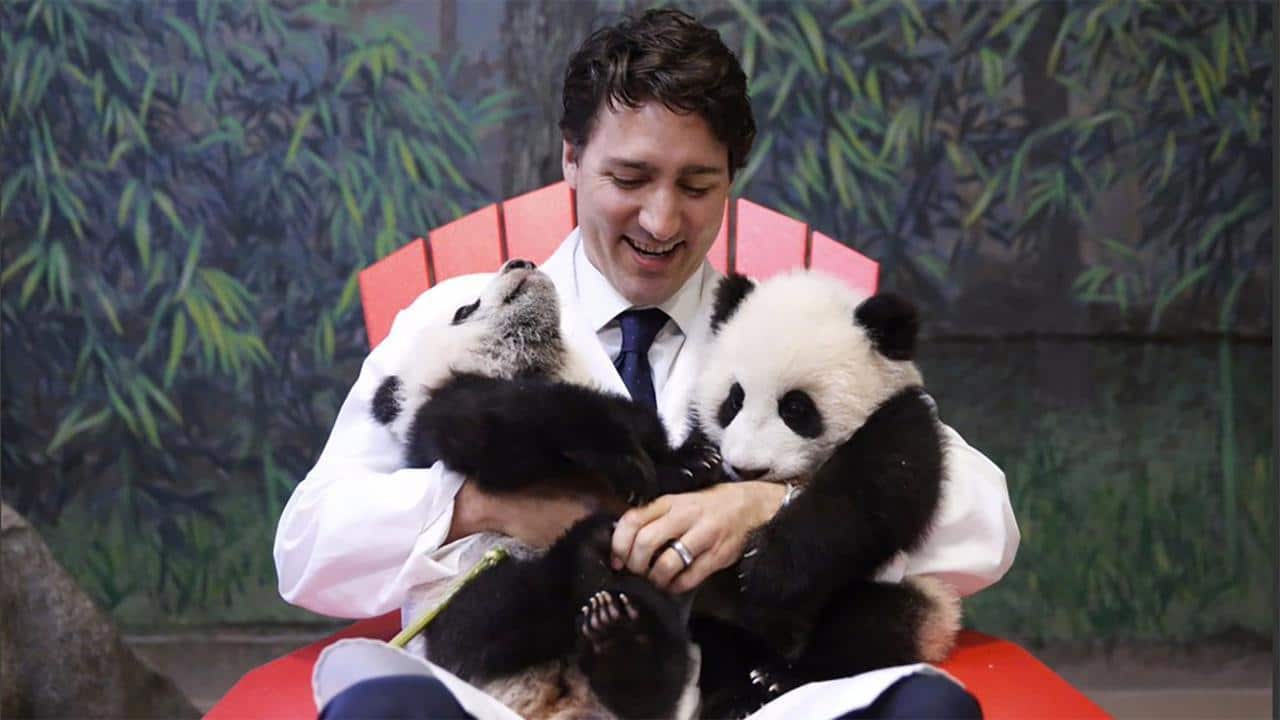 justin trudeau