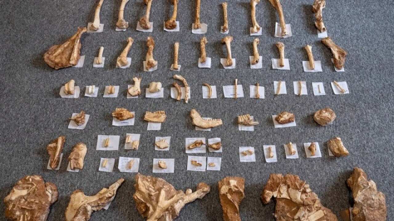 Στιγμιότυπο από την τα ευρήματα