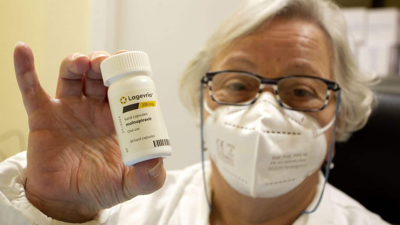 : Doctor shows the bottle of Lagevrio pills, Molnupiravir