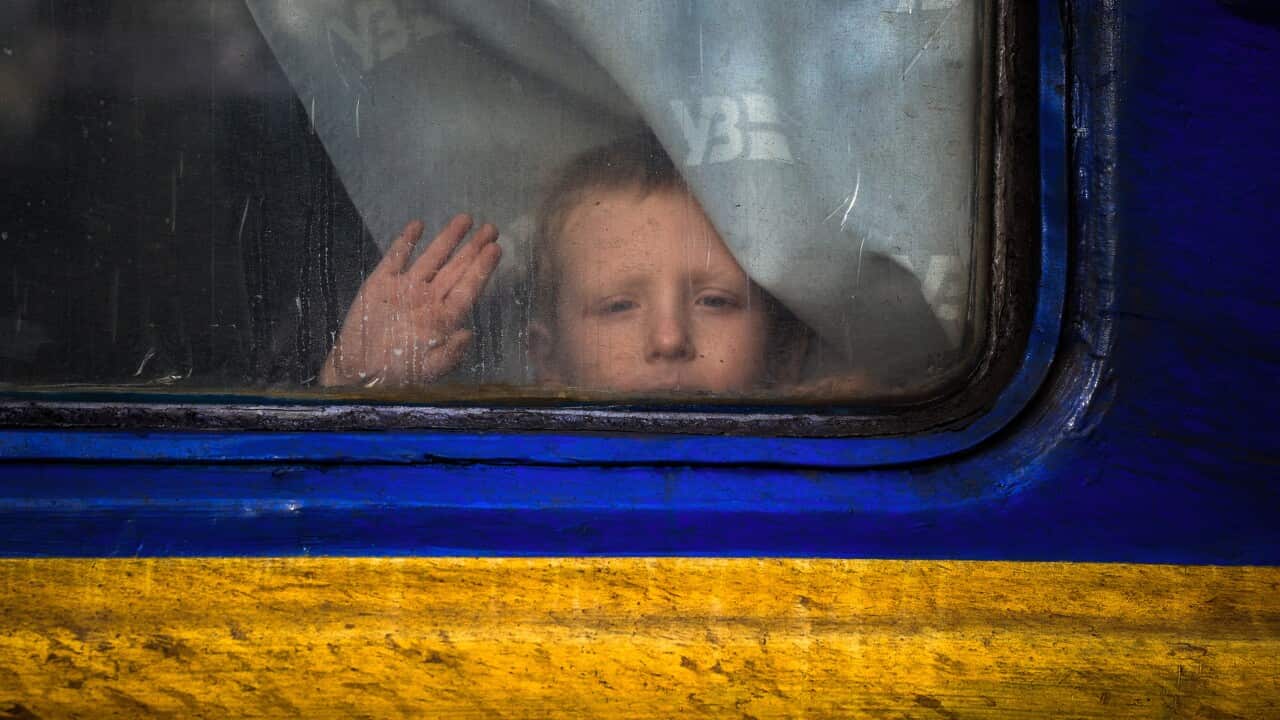 A child looks through a evacuation train's window in Pokrovsk, in the Donetsk region, on November 30, 2022