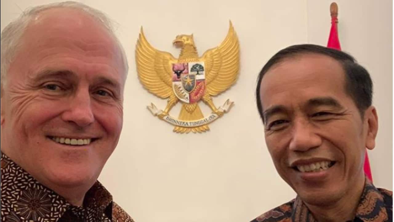 Former prime minister Malcolm Turnbull has praised Indonesian President Joko Widodo as the most impressive world leader he worked with.