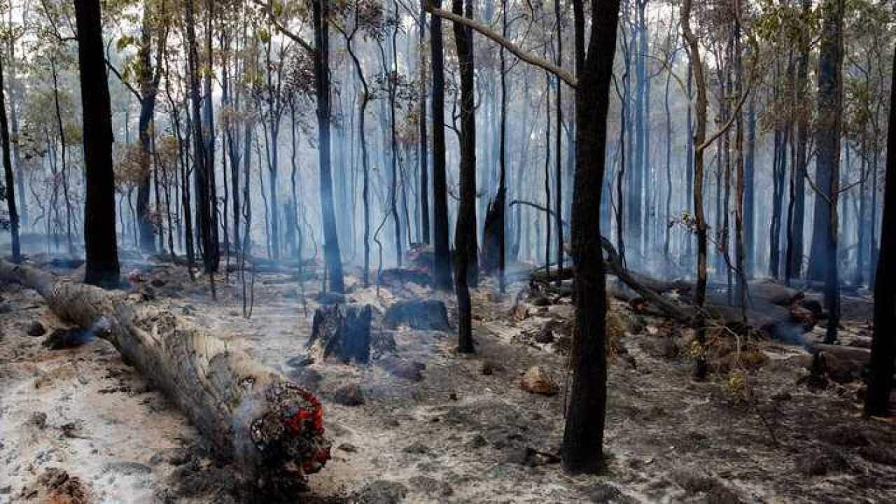 bush fire