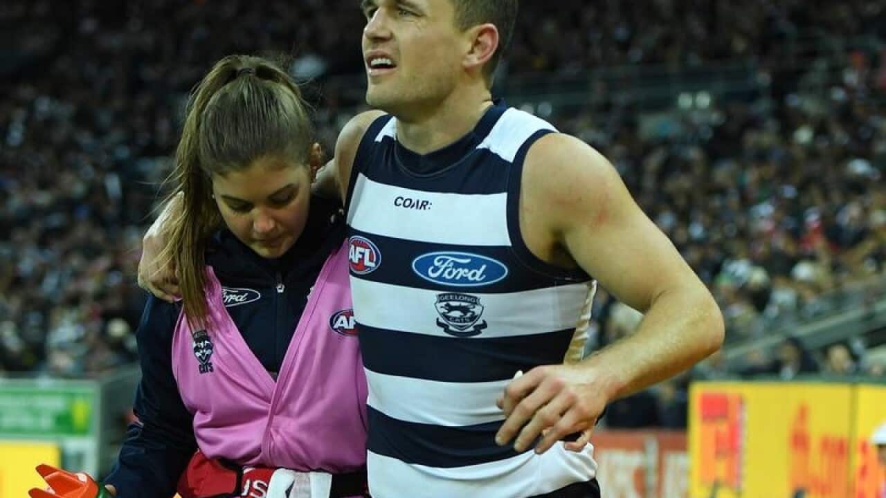 Geelong skipper Joel Selwood