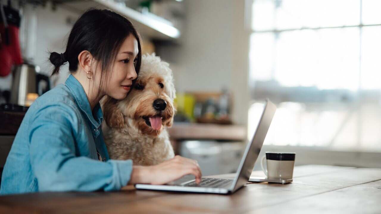 Young woman working from home with her dog
