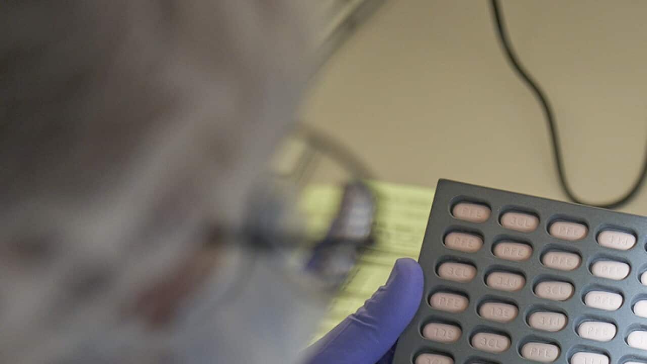 In this photo provided by Pfizer, a lab technician visually inspects Paxlovid tablet samples in Freiburg, Germany in December