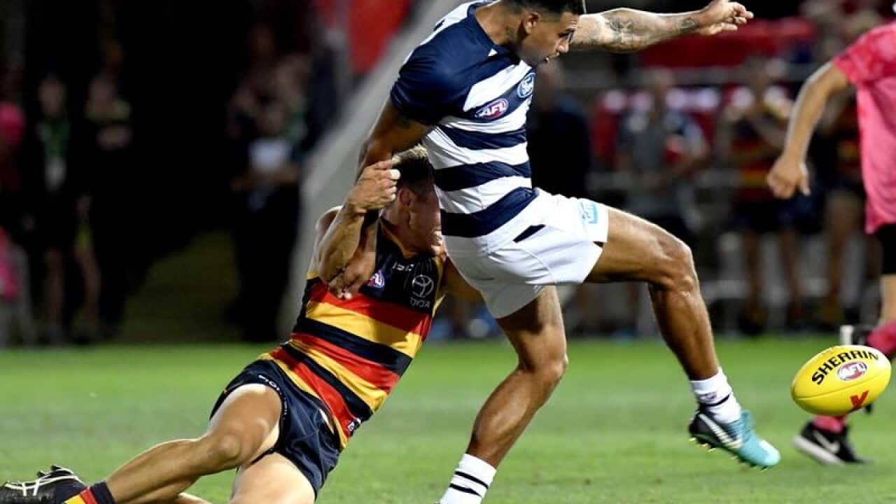 Geelong's Tim Kelly in action against the Adelaide Crows
