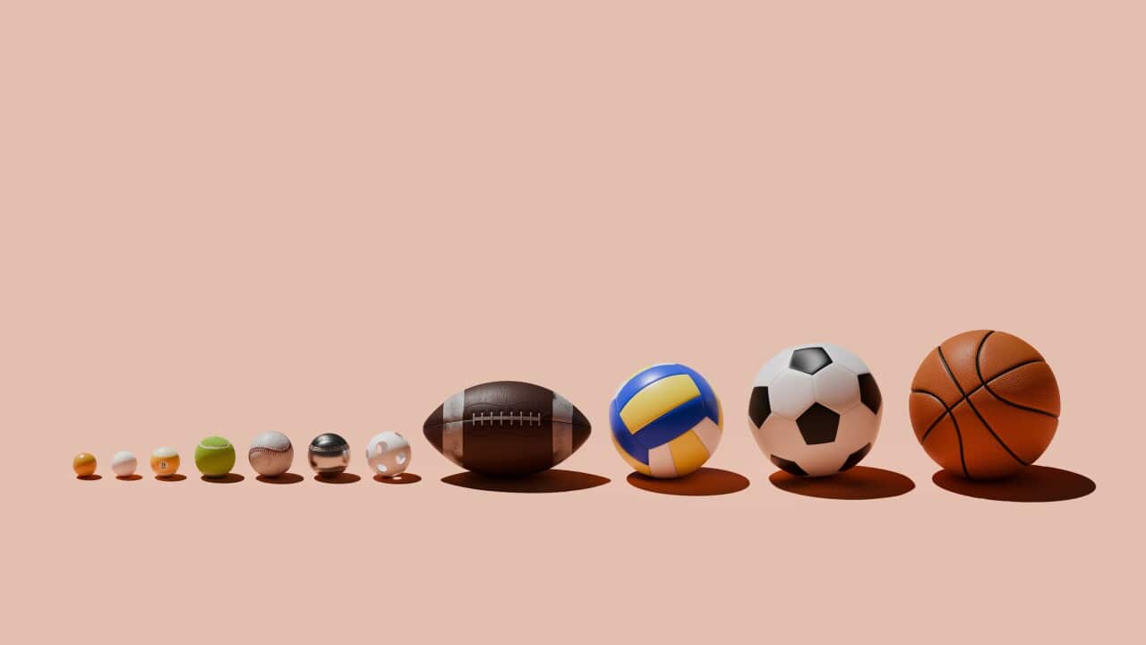 Various sports balls in a row
