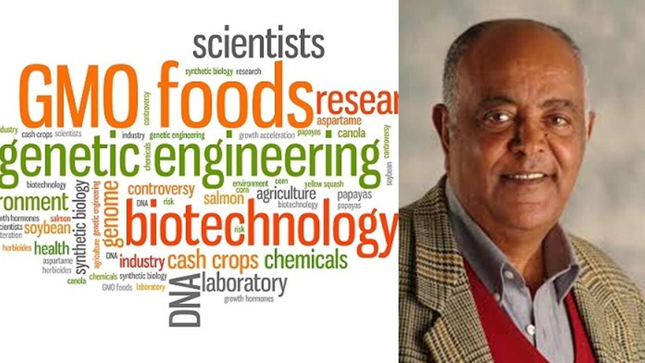 Interview with Dr Melaku Werede