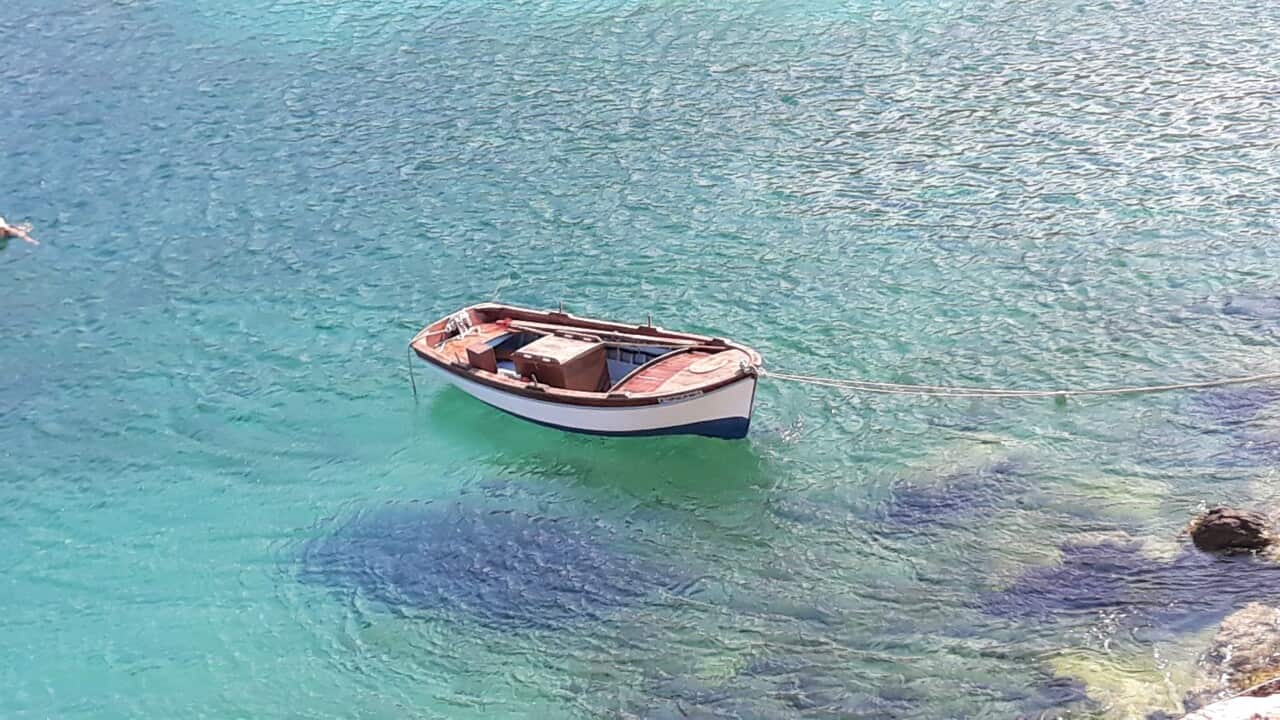 Image for read more article 'ΔΕΙΤΕ ΑΚΟΜΑ'