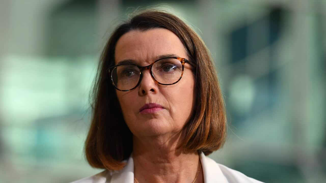 Social Services Minister Anne Ruston at a press conference at Parliament House in Canberra.