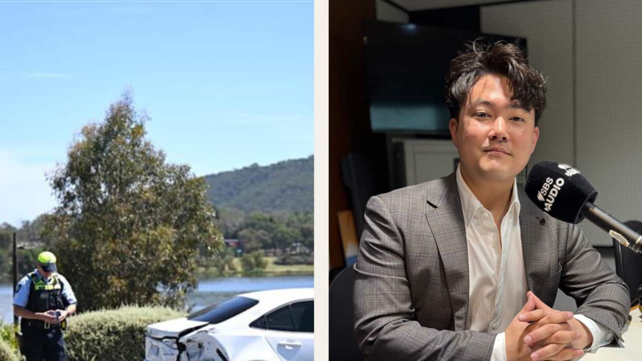 Image for read more article 'READ MORE'