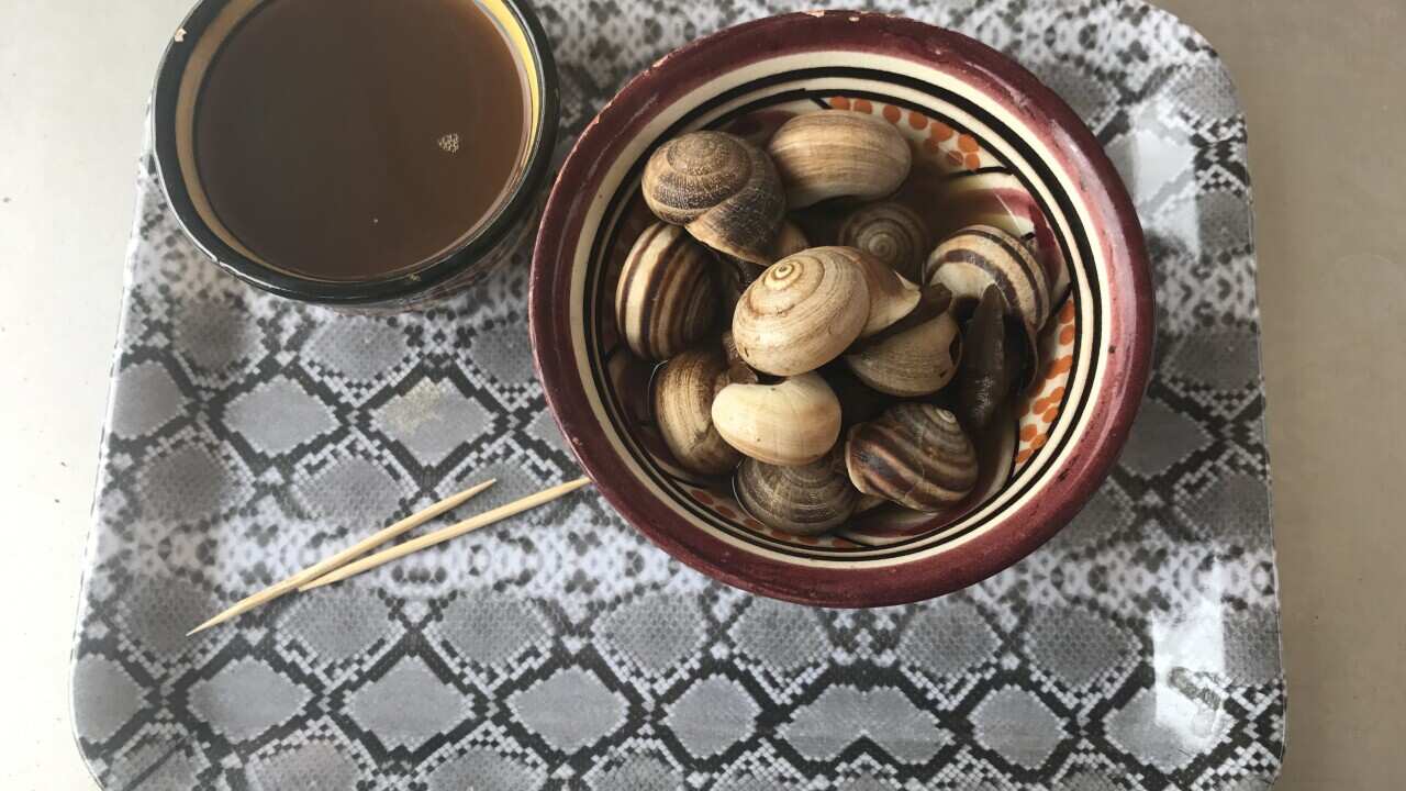 The earliest evidence of snail-eating has been found in Spain and the Mediterranean region.