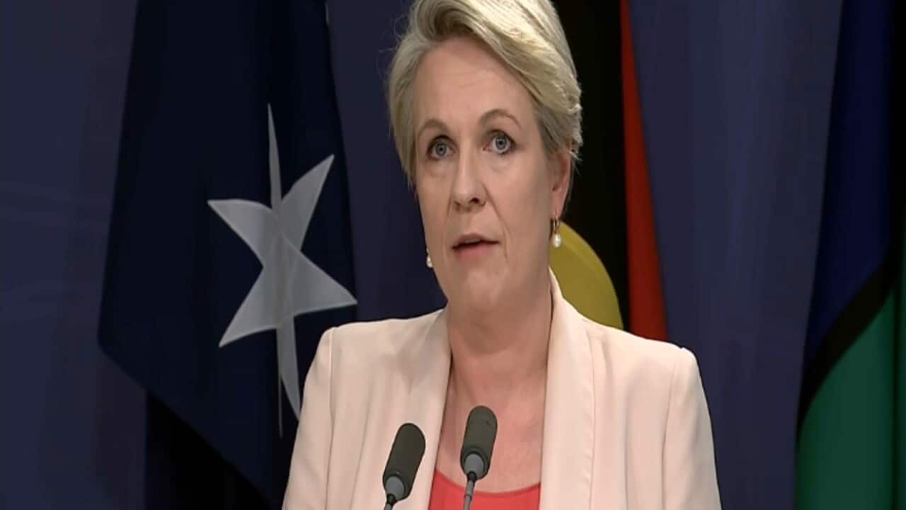 Tanya Plibersek announcing new Murray Darling Basin plan with most states.jpg