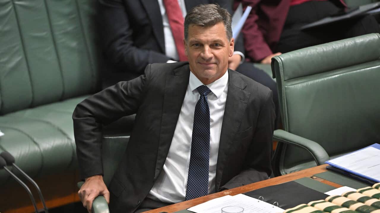 A middle-aged white man wearing a black suit and white shirt. He's seated in parliament.
