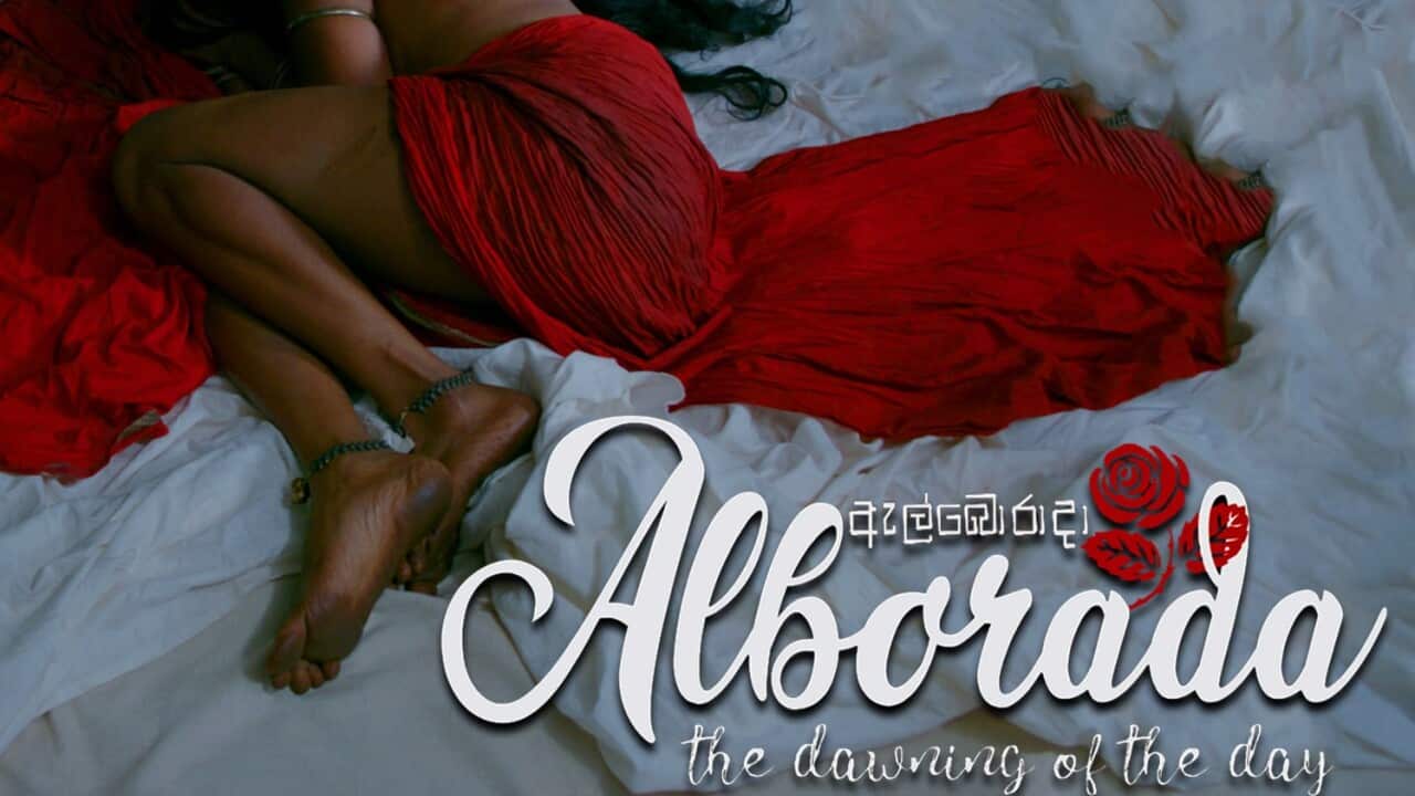 Image for read more article ''