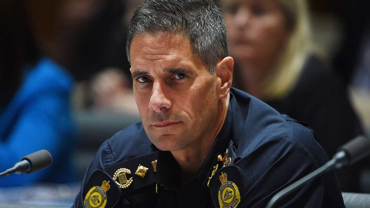 Australian Border Force Commissioner Roman Quaedvlieg has been stood down following a review