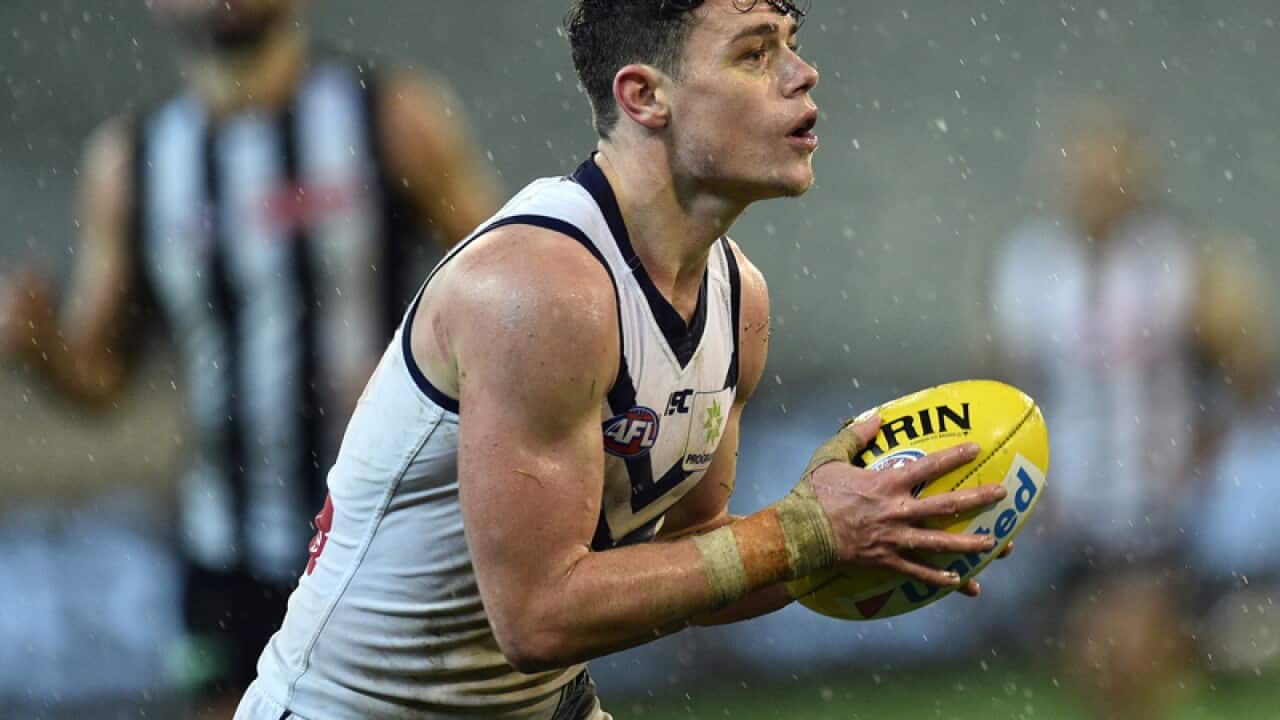 Lachie Neale of the Dockers