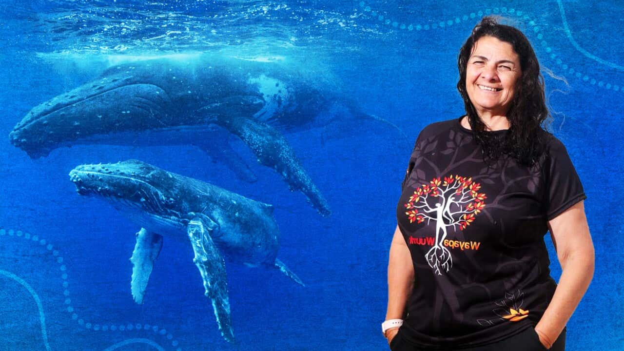 Aunty Jodi with whales WEB HEADER v2.jpg