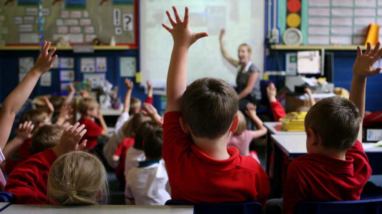 school education