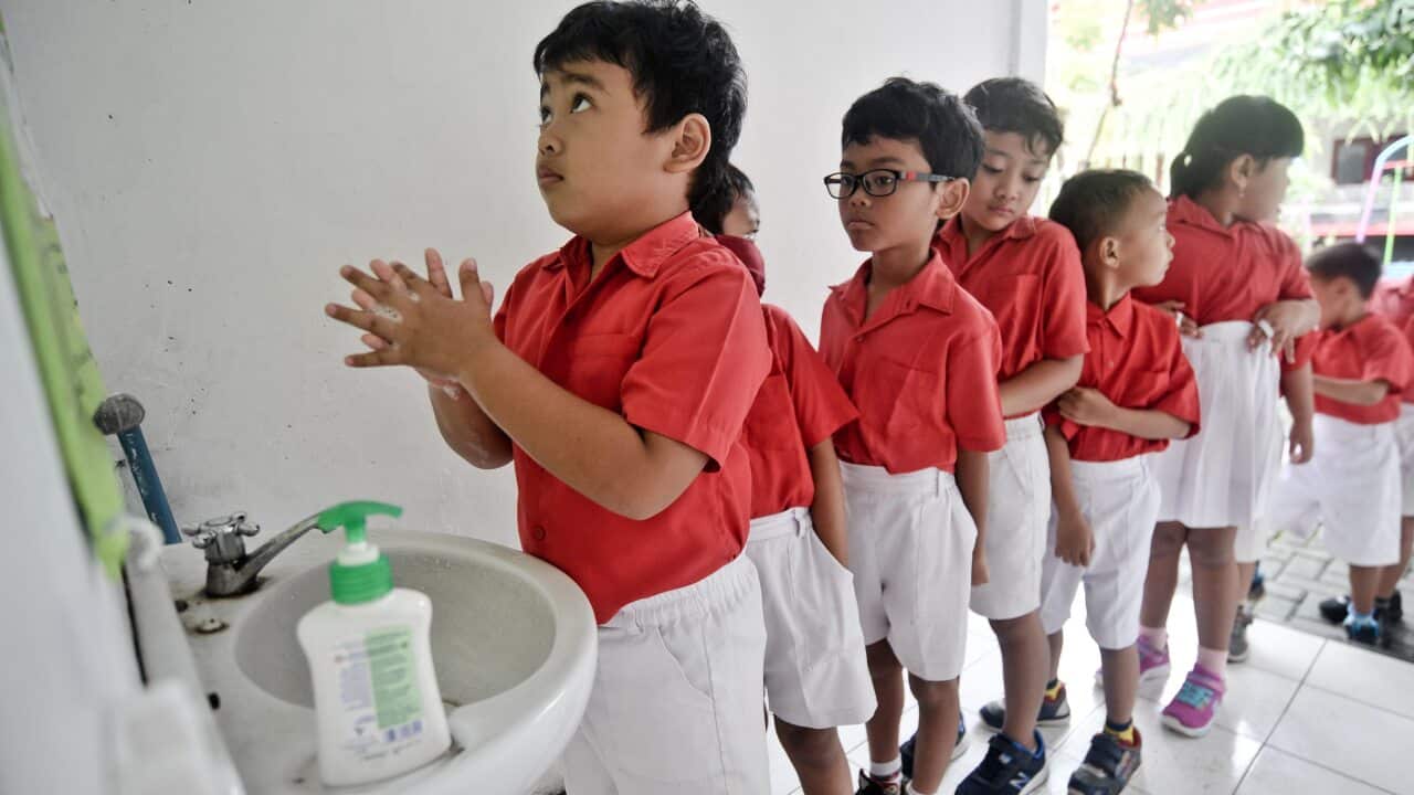 小朋友可能會誤服洗手液, 家長要特別留意。