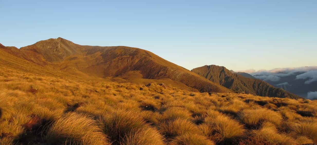 New Zealand downgrades tsunami alert for South Island after magnitude-5.9 earthquake