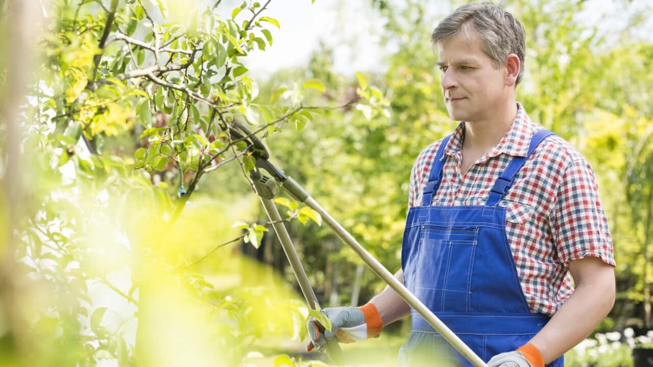 Image for read more article 'READ MORE'