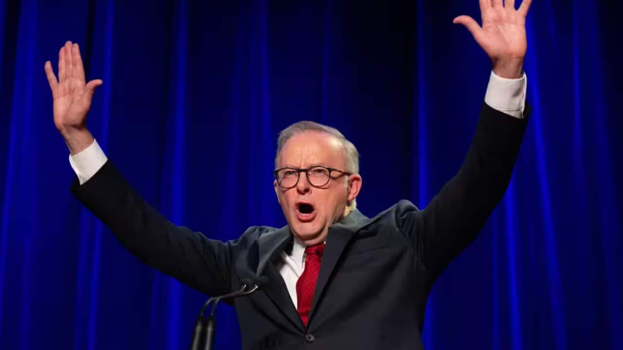Anthony Albanese wins second term