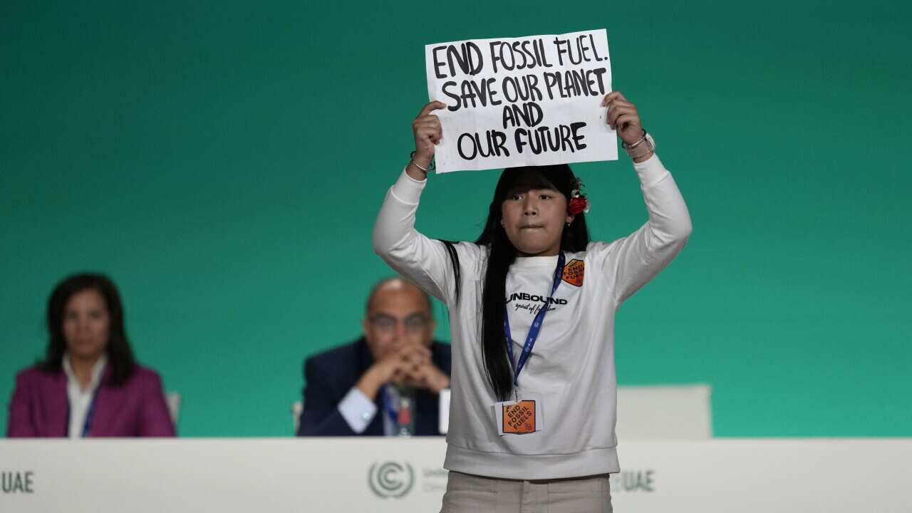 ADDITION COP28 Climate Summit