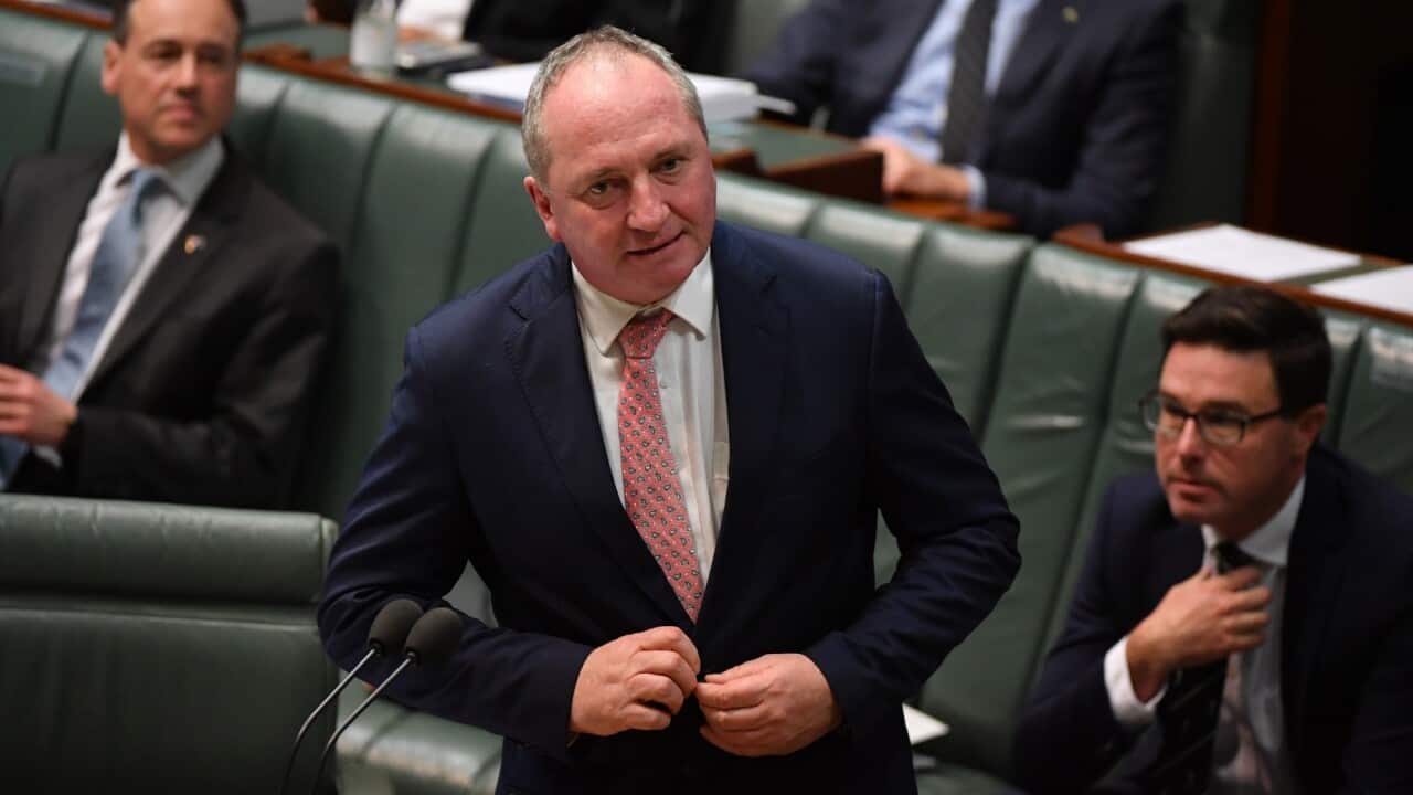 Deputy Prime Minister Barnaby Joyce during Question Time.