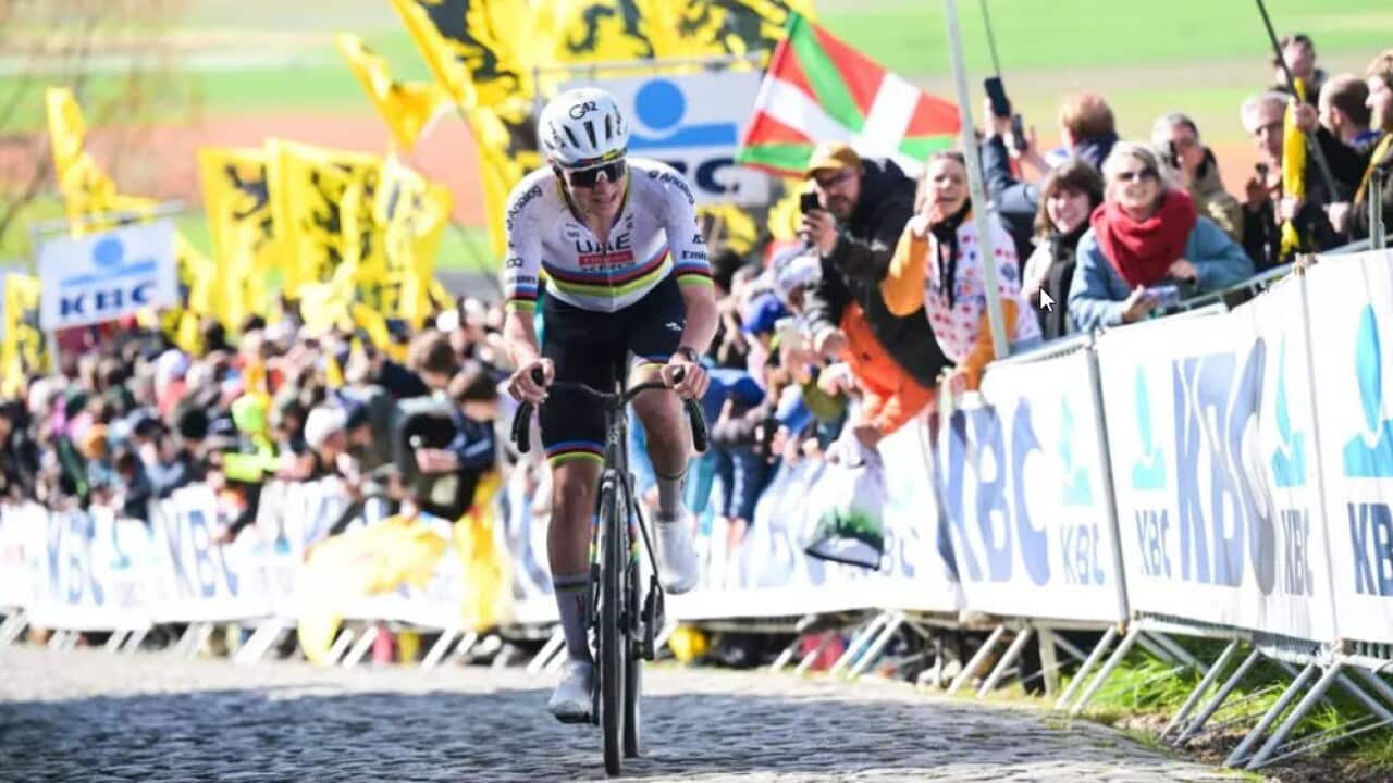 Le Slovène Tadej Pogacar à Haaltert lors du Tour des Flandres, le 5 avril 2026. © AFP / DAVID PINTENS