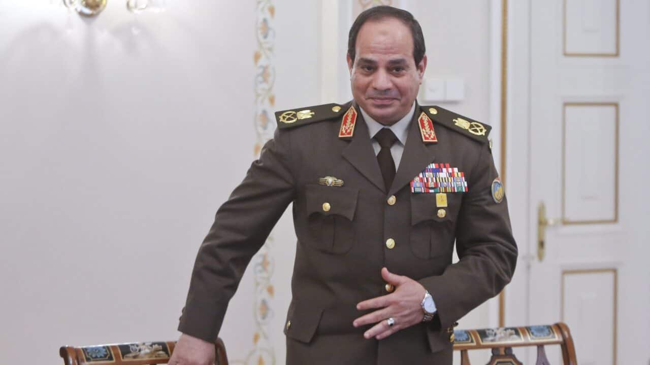140327_aap_sisi_egypt.jpg