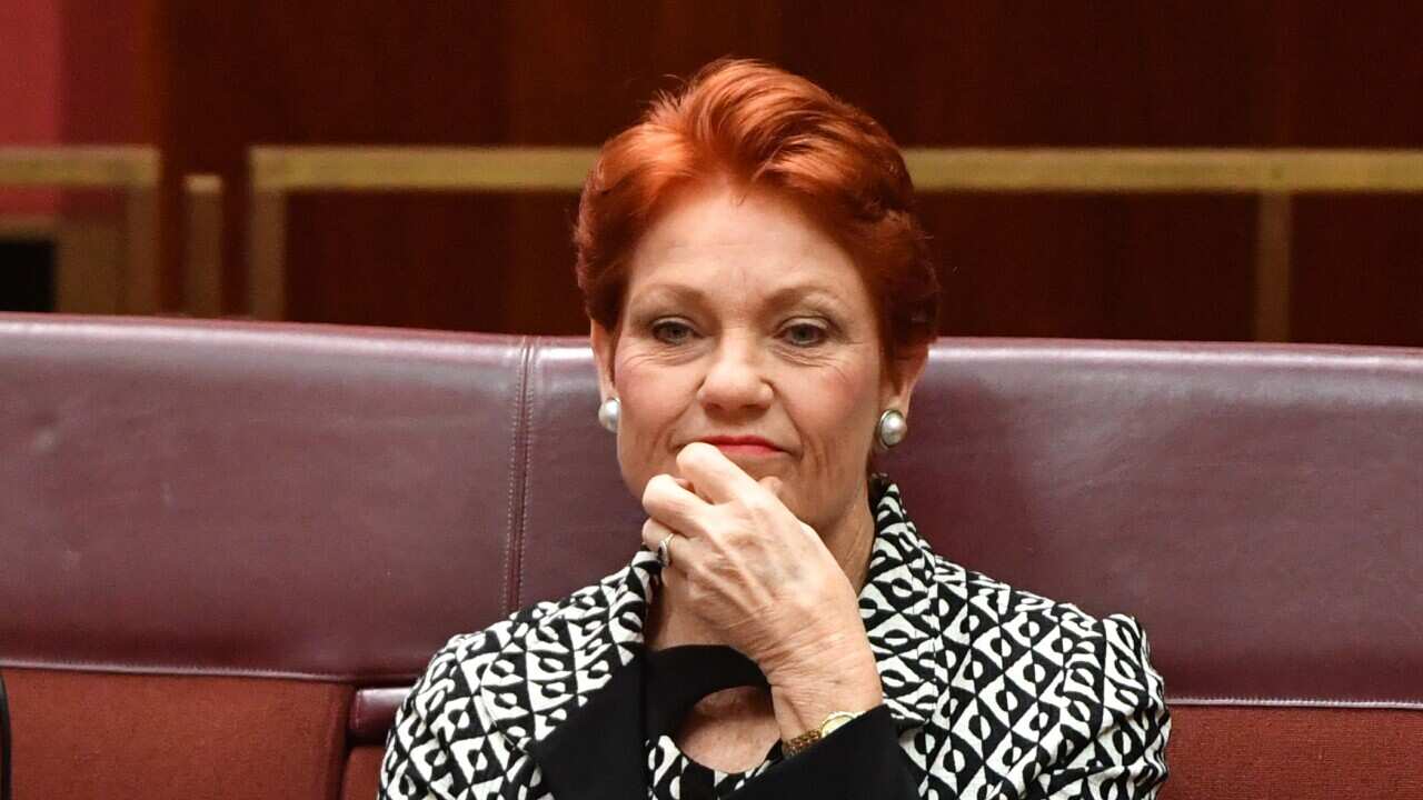 One Nation leader Senator Pauline Hanson in the Senate chamber at Parliament House in Canberra, Wednesday, June 17, 2020. (AAP Image/Mick Tsikas) NO ARCHIVING