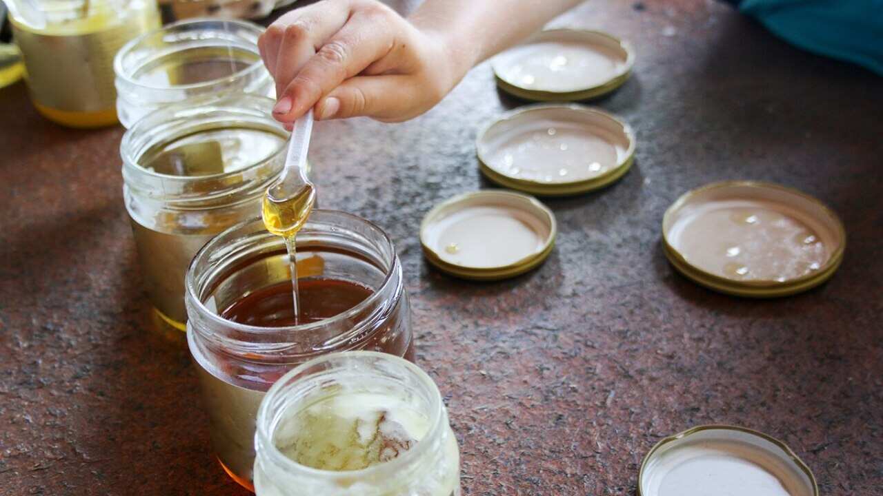 Honey tasting
